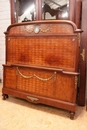 Louis XVI style Bedroom in mahogany  bronze wedgewood, France 19th century