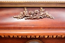 style Display cabinet in mahogany bronze wedgewood, France 19th century