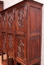 Gothic style Cabinet/armoire in Oak, France 19th century