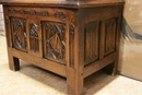 Gothic style Throne chair in Oak, France 19th century