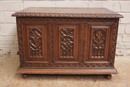 Gothic style Trunk in Oak, France 1900