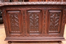 Gothic style Trunk in Oak, France 19th century