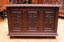 Gothic style Trunk in Oak, France 19th century