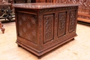 Gothic style Trunk in Oak, France 19th century