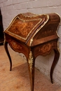 Napoleon III style Secretary desk in rosewood and bronze, France 19th century