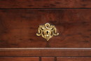 Louis XVI style Cabinet in mahogany , France 19th century