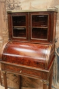 Louis XVI style Lady's desk in mahogany & bronze, France 19th century