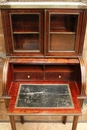 Louis XVI style Lady's desk in mahogany & bronze, France 19th century