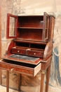 Louis XVI style Lady's desk in mahogany & bronze, France 19th century