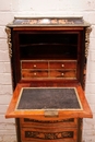 Napoleon III style Secretary desk, France 19th century