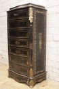Napoleon III style Secretary , France 19th century