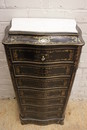 Napoleon III style Secretary , France 19th century