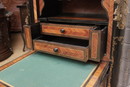Napoleon III style Secretary , France 19th century