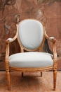 Louis XVI style Arm chairs in gilt wood, France 19th century