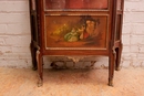 Napoleon III style Display cabinet in mahogany and bronze, France 19th century